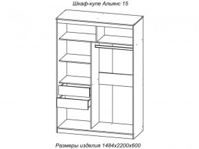 Шкаф-купе Альянс 15 комплект зеркал №2 в Екатеринбурге - magazinmebeli.ru | фото 2