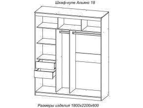 Шкаф-купе Альянс 18 комплект зеркал №4 в Екатеринбурге - magazinmebeli.ru | фото 2