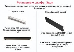 Шкаф с 2 ящиками со штангой Экон ЭШ1-РП-19-4-R-2я с зеркалом в Екатеринбурге - magazinmebeli.ru | фото 2